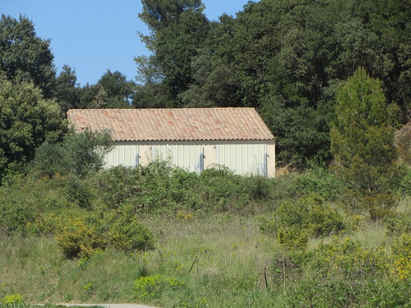 photo principale