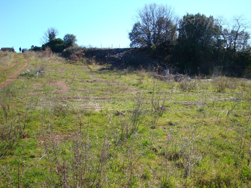 photo principale